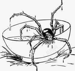 从碗里出来的蜘蛛从碗里出来的蜘蛛高清图片