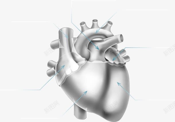 心脏png免抠素材_新图网 https://ixintu.com 人体 心 心脏 手绘心脏 线条