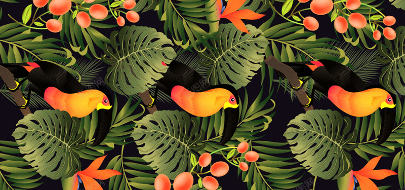 植物背景图jpg设计背景_新图网 https://ixintu.com 海报banner 植物 绿色 芭蕉 鸟 摄影 风景