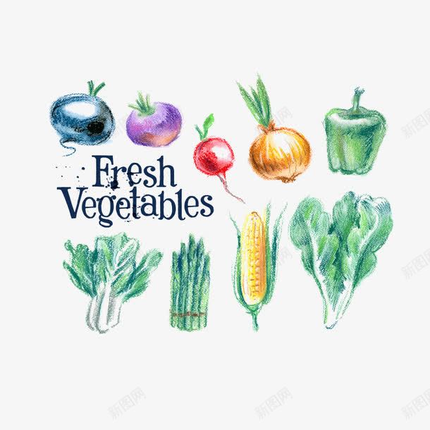 蔬菜美食免费png免抠素材_新图网 https://ixintu.com 素食 美食 蔬菜