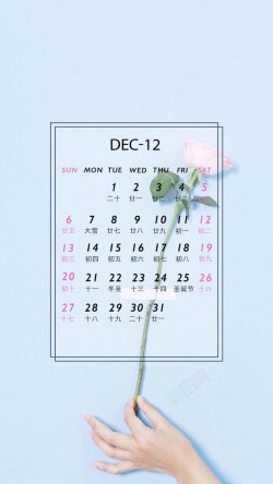 十二月日历清新花卉日历H5背景高清图片