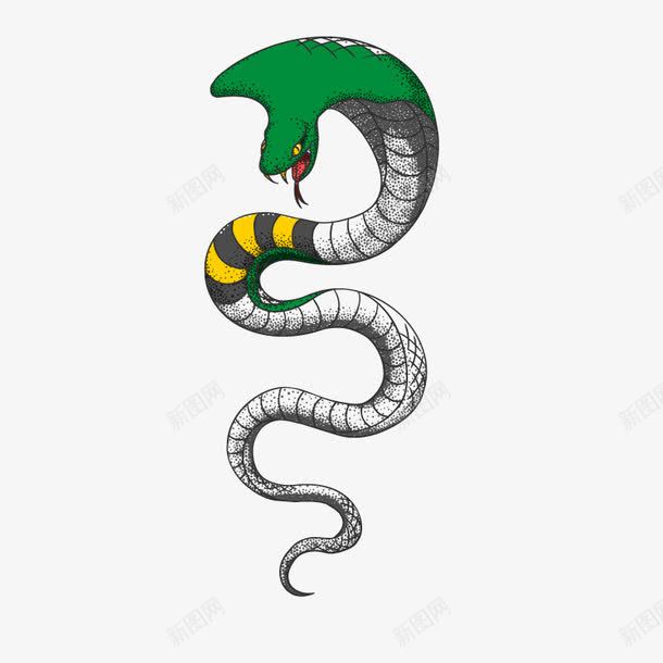 毒蛇png免抠素材_新图网 https://ixintu.com 动物 卡通动物 可怕 蛇