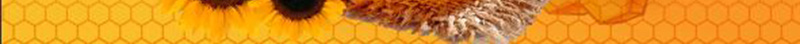 简约大气蜂蜜美食宣传海报背景psd设计背景_新图网 https://ixintu.com 宣传海报 大气 简约 美食 蜂蜜 广告设计模板 简约大气美食海报 蜜蜂 蜂巢