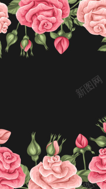 花朵花卉黑底H5背景背景