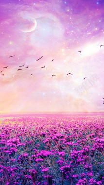 紫色梦幻花海手机端H5背景背景