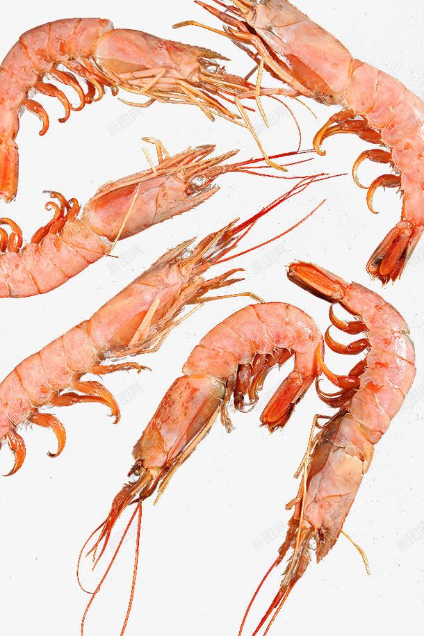 一组大虾png免抠素材_新图网 https://ixintu.com 原料 大虾 料理 新鲜 烹饪 红色 食材 食物