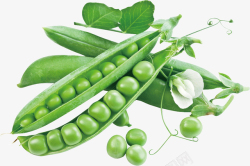 豆荚绿色炒菜豌豆高清图片