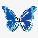 蝴蝶自然的精灵png免抠素材_新图网 https://ixintu.com butterfly 蝴蝶