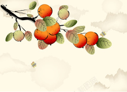 收获果实矢量中国风秋季金桔果实背景高清图片