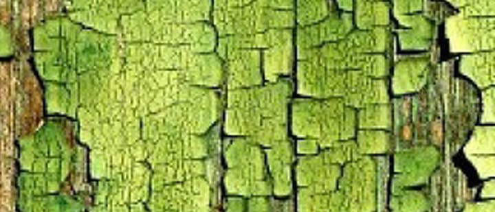 绿色树皮H5背景jpg设计背景_新图网 https://ixintu.com 树皮 纹理 绿色 质感