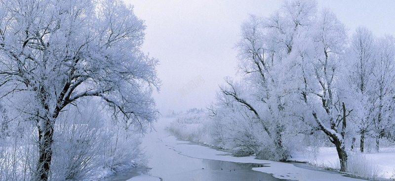 风景天空雪景白色树路背景jpg设计背景_新图网 https://ixintu.com 风景 天空 雪景 白色 树 路 摄影