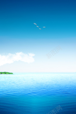 大海蓝色孤岛海鸥背景背景