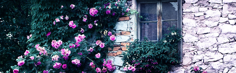 复古墙面花卉背景背景