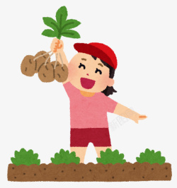 农民劳作图小女孩在田间拔土豆高清图片