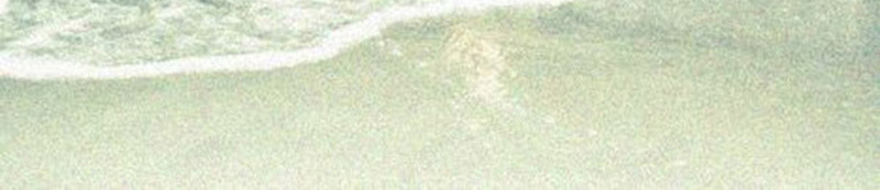 大海摄影素材jpg设计背景_新图网 https://ixintu.com 大海 圆月 海水 夜空 摄影背景素材 摄影banner背景 摄影 风景