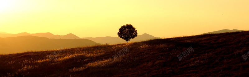 摄影落山的太阳背景jpg设计背景_新图网 https://ixintu.com 孤树 景观 翁布里亚 日落 摄影 落山的太阳 海报banner 风景