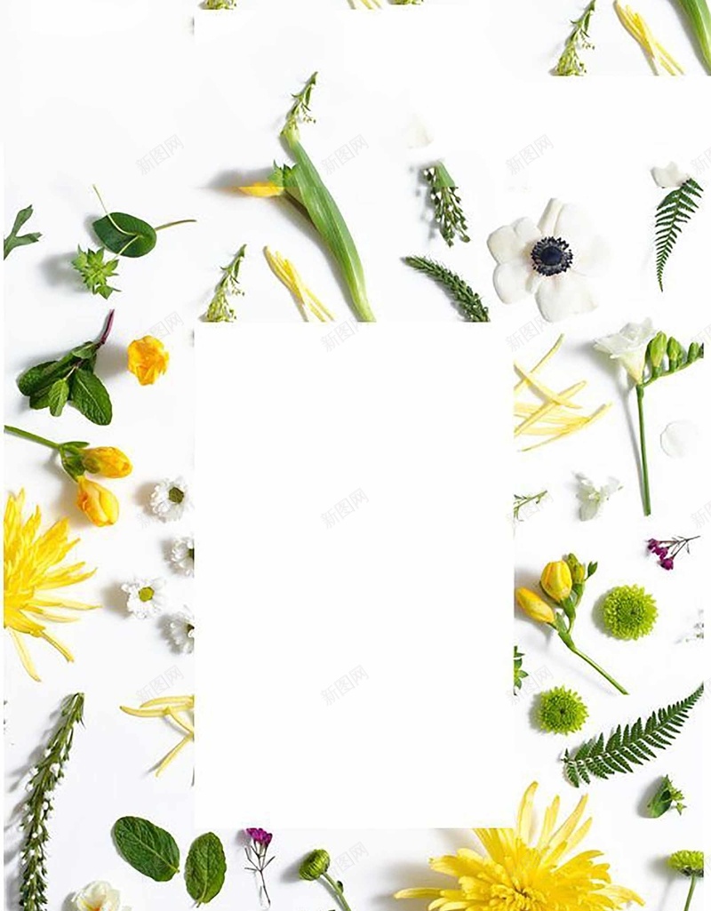 化妆品立体花朵海报jpg设计背景_新图网 https://ixintu.com 促销 化妆品 清新 立体花朵