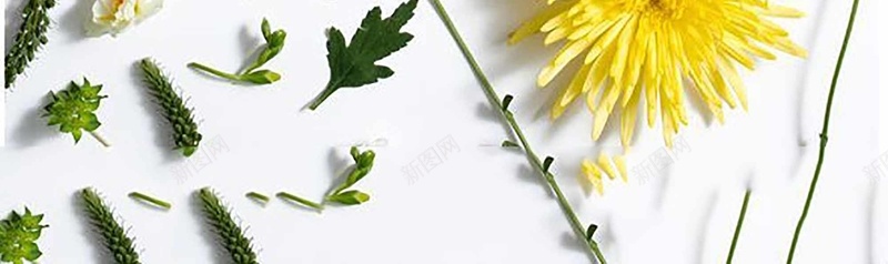 化妆品立体花朵海报jpg设计背景_新图网 https://ixintu.com 促销 化妆品 清新 立体花朵