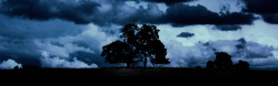 黑暗的天空黑暗世界树木背景高清图片