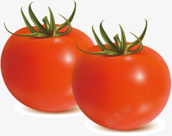 西红柿装饰矢量图素材