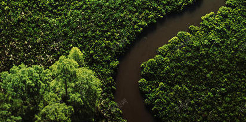 河流绿色草坪H5背景jpg设计背景_新图网 https://ixintu.com H5背景 唯美 大树 护眼 植物 河流 简约 绿色 草坪 草坪背景