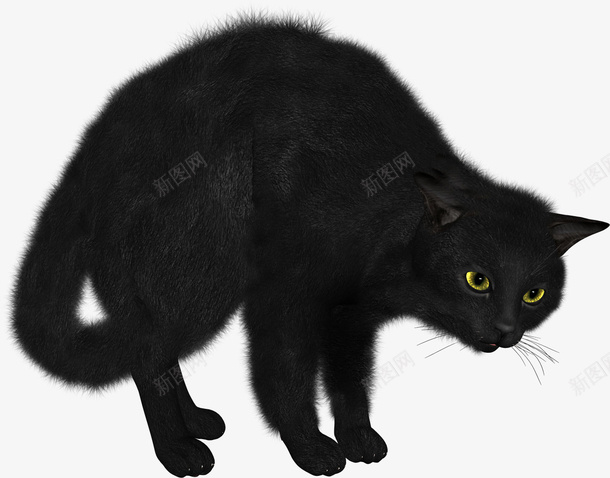 黑猫可爱的黑猫小猫png免抠素材_新图网 https://ixintu.com 免扣 可爱的黑猫 小猫 黑猫