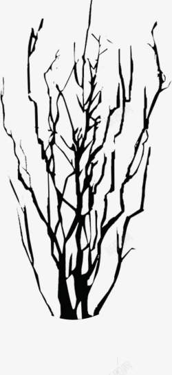 黑色精美树枝创意装饰素材