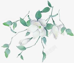 手绘绿叶白花素材