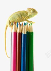 绘画笔png免抠素材_新图网 https://ixintu.com 学习 绘画 蜥蜴 铅笔