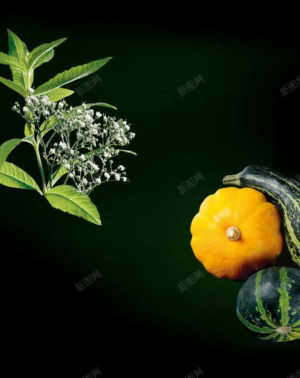 绿叶植物蔬菜jpg设计背景_新图网 https://ixintu.com 植物 绿叶 蔬菜