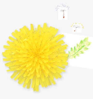 黄色花朵装饰植物png免抠素材_新图网 https://ixintu.com 图片 植物 花朵 装饰 黄色