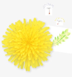 黄色花朵装饰植物素材