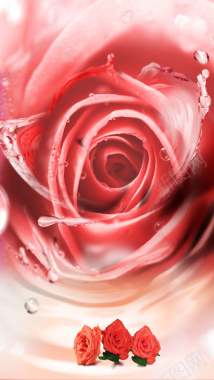粉色玫瑰花香水PS源文件H5背景背景