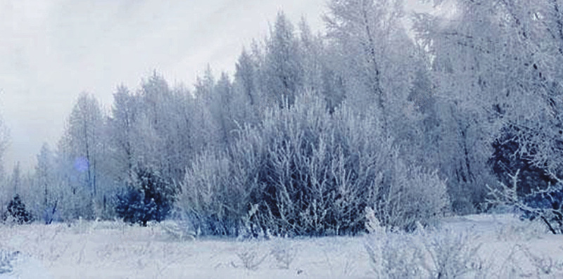 摄像风景雪景冬至jpg设计背景_新图网 https://ixintu.com 冬至 中国传统节气 二十四节气 节气 雪景 24节气 时节 摄影 风景 文艺 树 温暖