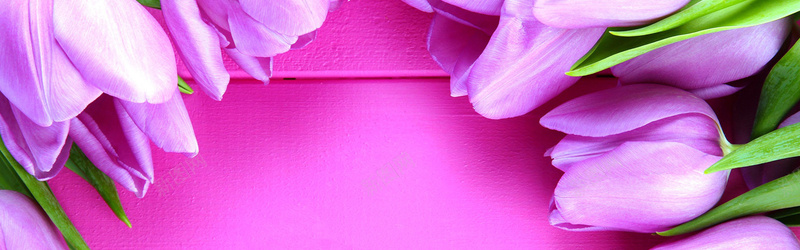 清新粉色花卉背景背景