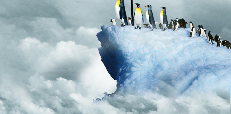 冰山上的企鹅H5背景psd设计背景_新图网 https://ixintu.com H5素材 PSD背景 云团 企鹅 冰山 创意 动物 大气 天空 寒冷 模型