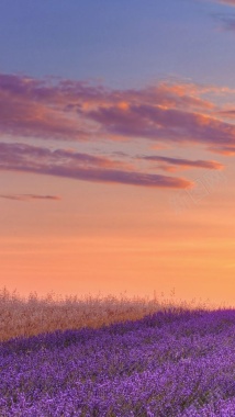风景蓝天红云紫花H5背景素材背景