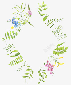 植物花圈花朵手绘元素边框素材