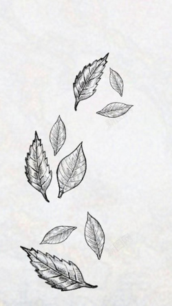很多叶子素描树叶H5背景高清图片