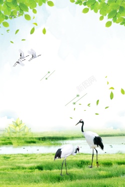 生态日创意极简世界湿地日背景模板高清图片