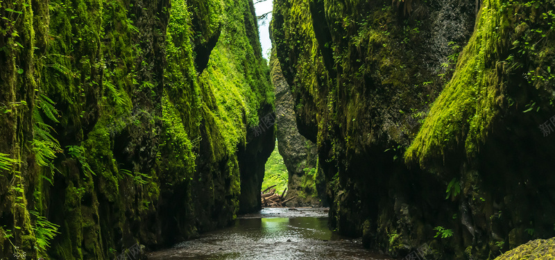 峡谷中的河流jpg设计背景_新图网 https://ixintu.com 自然风景 峡谷 绿色 河流 天然 海报banner 摄影 风景