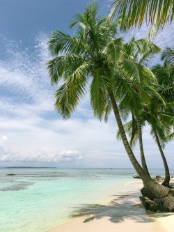 烈日蓝天白云椰子树沙滩海水高清图片