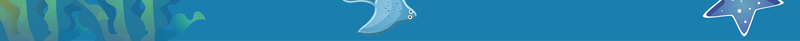 蓝色扁平手绘卡通海豚背景素材psd设计背景_新图网 https://ixintu.com 卡通 扁平 手绘 海豚 蓝色 商务 夏日 背景 素材
