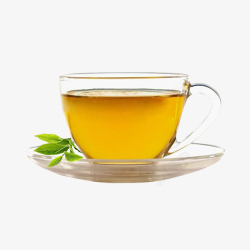 茶叶泡茶养生茶素材
