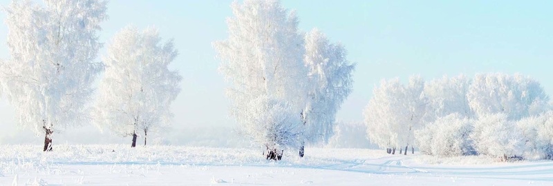 简约唯美雪地背景背景