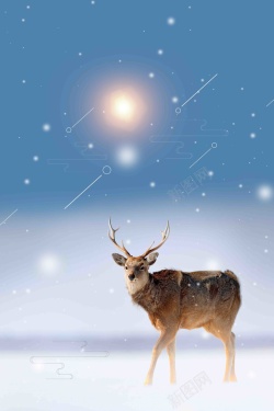 野生动物海报自然简约清新大寒二十四节气海报高清图片
