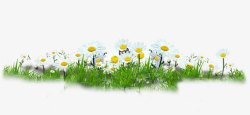 环保白色花朵草地素材
