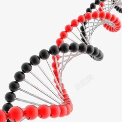 鍩哄洜妫红黑基因链高清图片