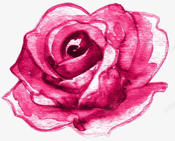 粉色的玫瑰花png免抠素材_新图网 https://ixintu.com PNG图形 玫瑰花 粉玫瑰 粉色 花卉 花朵 装饰