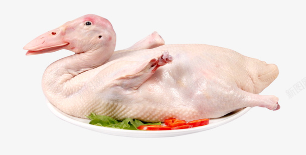 新鲜的白条鸭png免抠素材_新图网 https://ixintu.com 白条鸭 禽类 鸭 鸭肉
